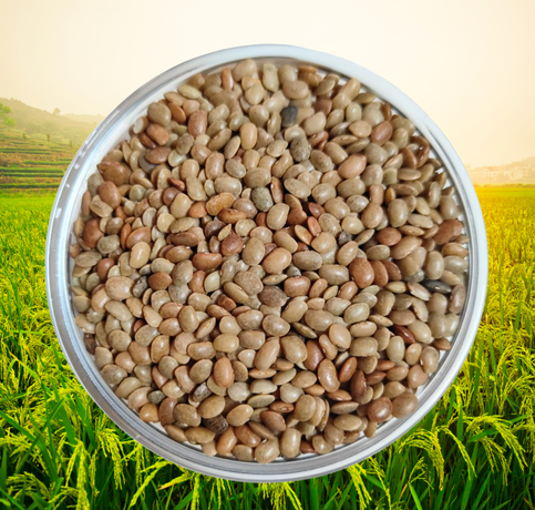 Horsegram from Sri Manteshwara Agro Industries