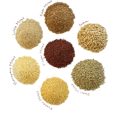 herbal raw materials (3)